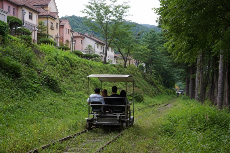 Nami Island Trip with Petite France & Italian Village and Gangchon Rail Bike