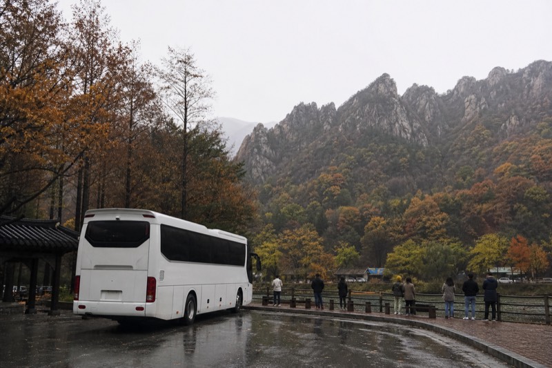 Seoul: Mt. Seorak & Nami island & Morning Calm Garden