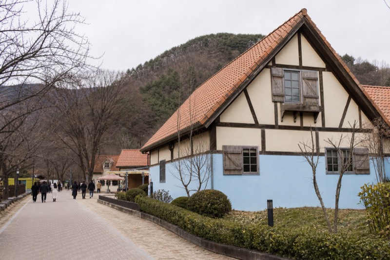 Nami Island, Petite France with Rail Bike Day Tour From Seoul