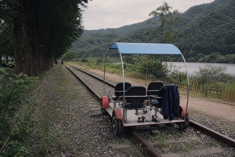 Seoul: Nami Island & Petite France Tour with Railbike Option
