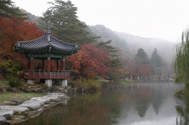 Day Trip to Nami Island with Rail bike and The Garden of Morning Calm