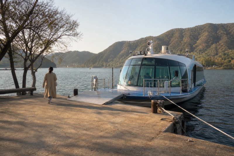 Nami Island Day Tour From Seoul (Sleep In & Leisurely)