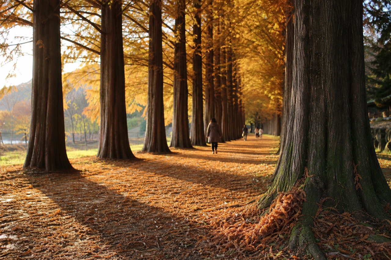 The straight metasequoia lane on a river island in Gapyeong, tall bare trunks in winter light with snow along the central path and visitors walking between the trees